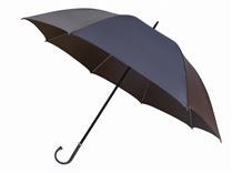 Guarda-Chuva de 8 Varetas Com Cabo Curvado Personalizado - ZS-400