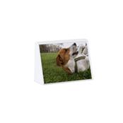 EXPOSITOR PORTA RETRATO A7 PERSONALIZADO XB06213