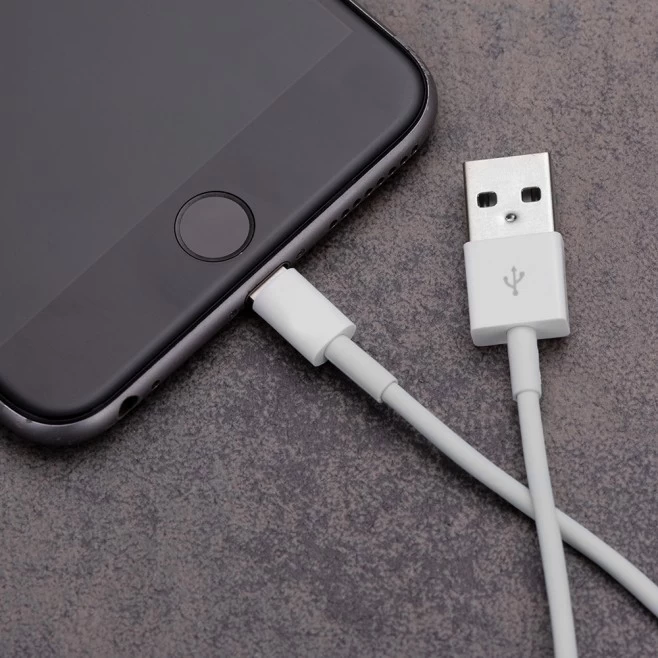 Cabo de Dados Lightning com Logo