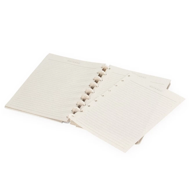 Caderno de Disco Ecológico Promocional